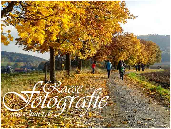 franziska-raese-wanderung-pfaffenstein-2